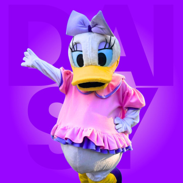 DAISY / MICKEY MOUSE 